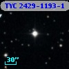 TYC 2429-1193-1