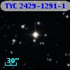 TYC 2429-1291-1