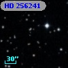 HD 256241