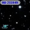 HD 255849