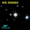 HD 256403