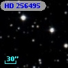 HD 256495
