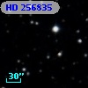 HD 256835