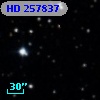 HD 257837