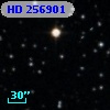 HD 256901