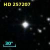 HD 257207