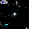 V* V534 Aur