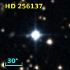 HD 256137
