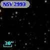 NSV  2993