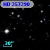 HD 257290