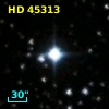 HD  45313
