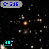 C*  516