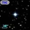 TYC 1333-1300-1