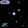 TYC 1337-314-1