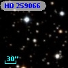 HD 259066
