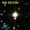 HD 257236