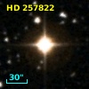 HD 257822