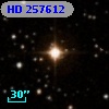 HD 257612