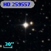 HD 259557