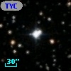 TYC 1315-1838-1