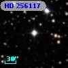 HD 256117