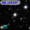 HD 256347