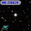 HD 256628
