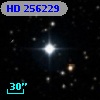 HD 256229
