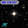 HD 256287