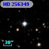 HD 256349