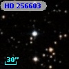HD 256603