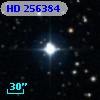 HD 256384