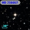 HD 256667
