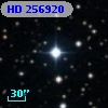 HD 256920