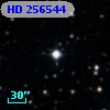 HD 256544