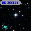 HD 256607
