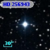 HD 256943