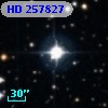 HD 257827
