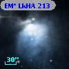 EM* LkHA  213