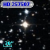 HD 257507
