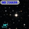 HD 256699