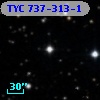 TYC  737-313-1