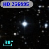 HD 256895