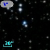 V* V538 Mon