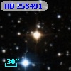 HD 258491