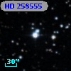 HD 258555