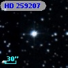 HD 259207