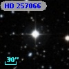 HD 257066