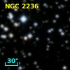 NGC  2236