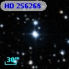 HD 256268